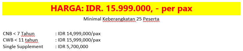 Screenshot 2025-06-19 000134